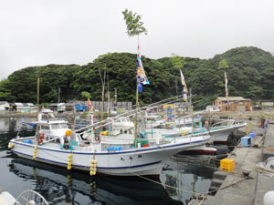 漁船も大漁旗で飾ってます