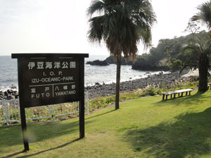 伊豆海洋公園ダイビングセンター