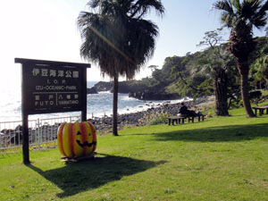 快晴の伊豆海洋公園！