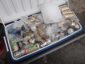 冷え冷えの酎ハイなどなど