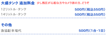 オプション料金表
