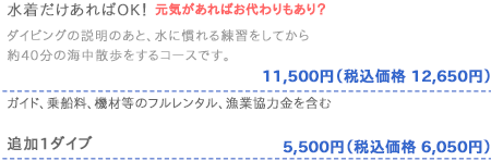 体験ダイビング料金