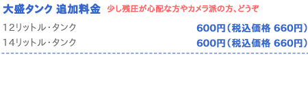 オプション料金表