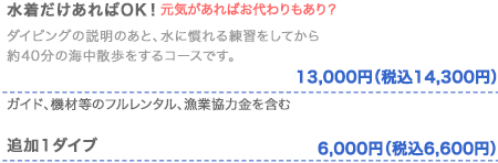 体験ダイビング料金