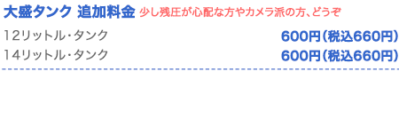 オプション料金表