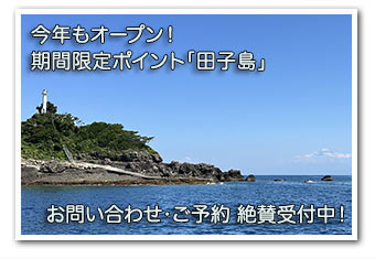 今年もオープン！ 期間限定ポイント「田子島」